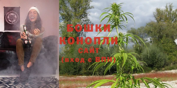 спайс Алзамай