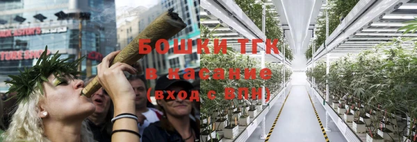 твердый Пересвет