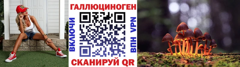 магазин продажи наркотиков  Нижний Ломов  Псилоцибиновые грибы Psilocybe 